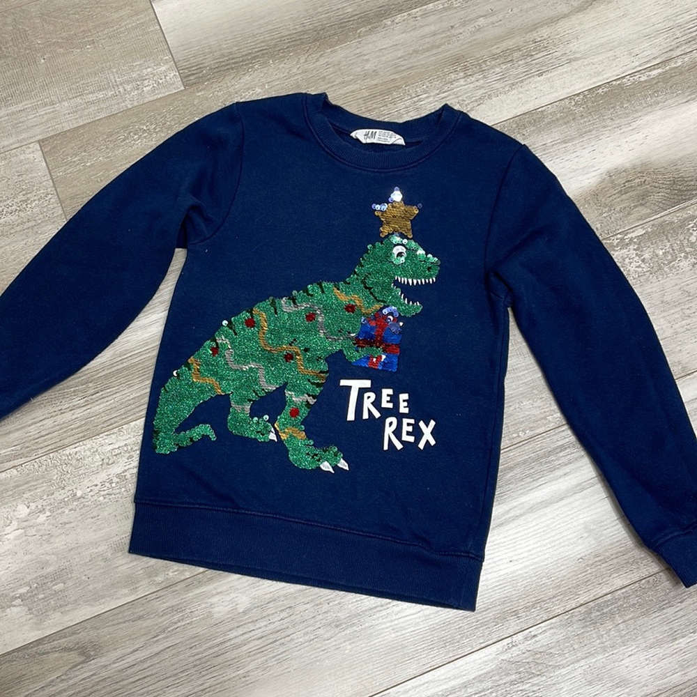 H&M Holiday Dinosaurs Boy Sweatshirt Blue Size:6-8Y